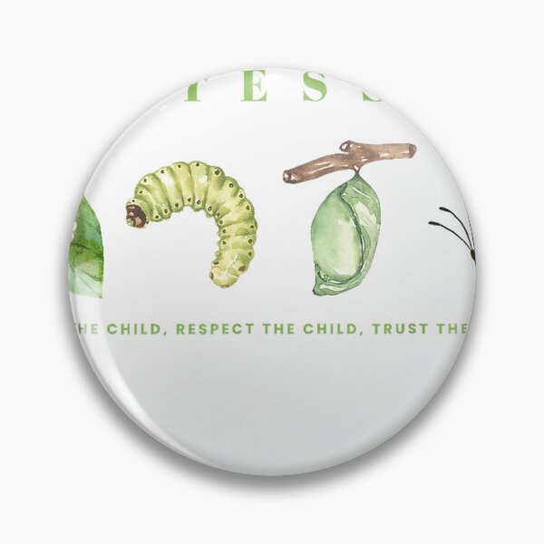 Item preview, Caterpillar Lifecyle Montessori Eduction Teacher School Grad T-Shirt designed and sold by gidget-gadget.