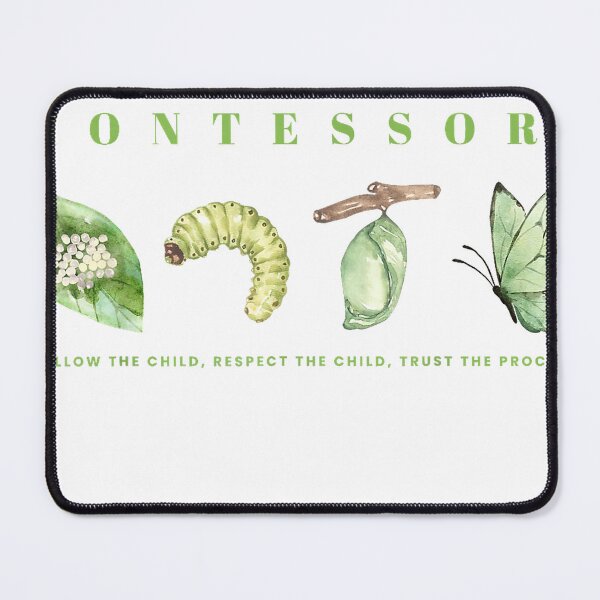 Item preview, Caterpillar Lifecyle Montessori Eduction Teacher School Grad T-Shirt designed and sold by gidget-gadget.