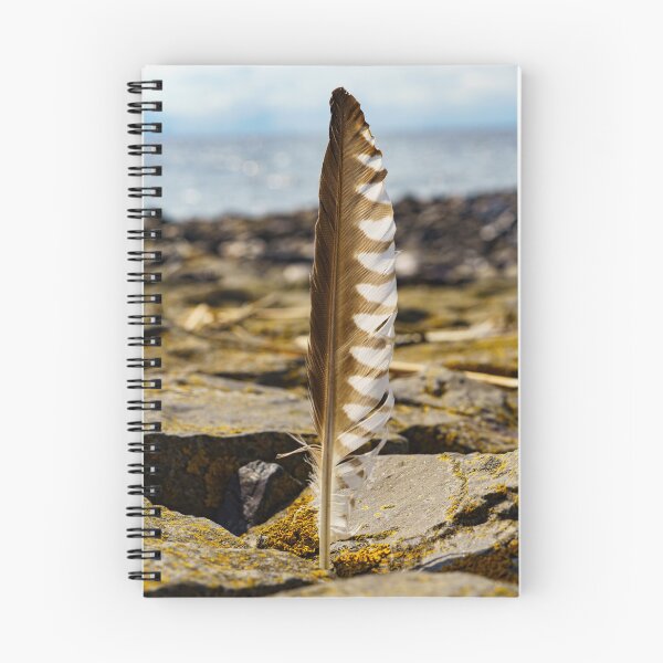 Item preview, Striped Bird Feather on the Beach  designed and sold by TheScarletLens.