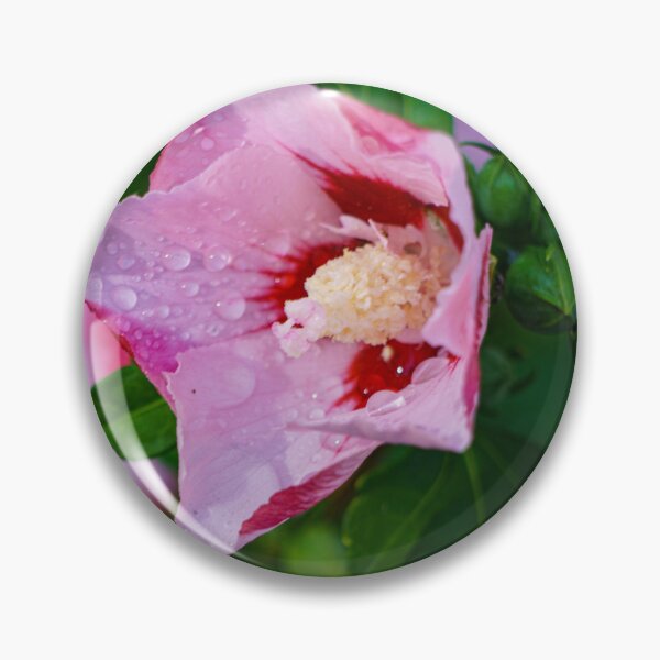 Item preview, Pink Hibiscus Flower Close-Up designed and sold by TheScarletLens.