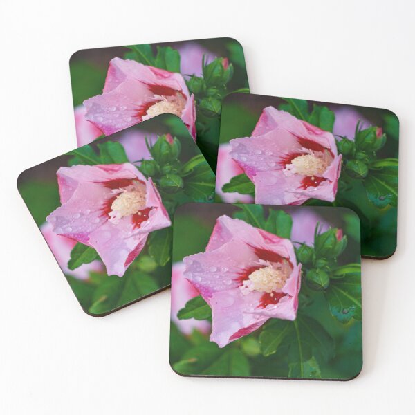 Item preview, Pink Hibiscus Flower Close-Up designed and sold by TheScarletLens.