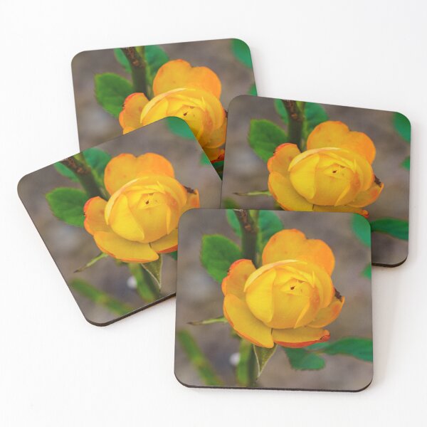 Item preview, Orange Rose Bud Cloe up  designed and sold by TheScarletLens.