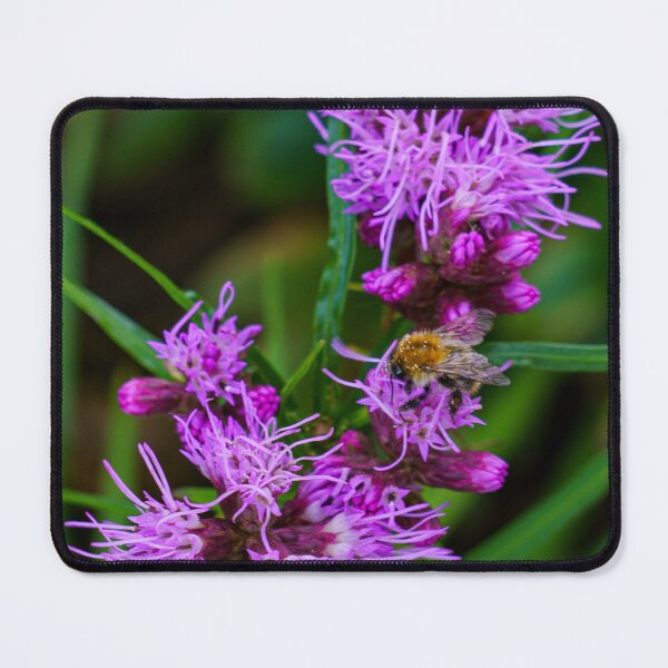 Item preview, Bumblebee on Purple Liatris Flower designed and sold by TheScarletLens.