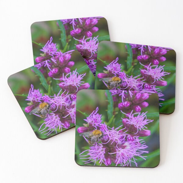 Item preview, Bumblebee with Pollen on Purpel Liatris designed and sold by TheScarletLens.