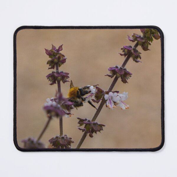 Item preview, Bumblebee on Purpel Basil Flower designed and sold by TheScarletLens.