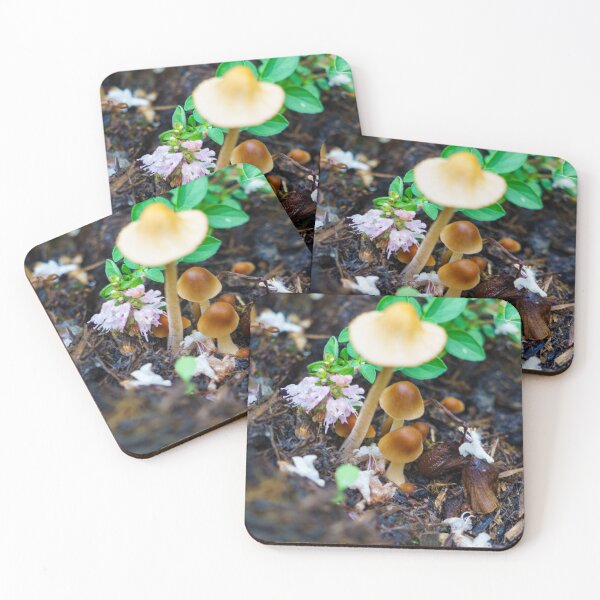 Item preview, Magical Forest Mushrooms macro designed and sold by TheScarletLens.