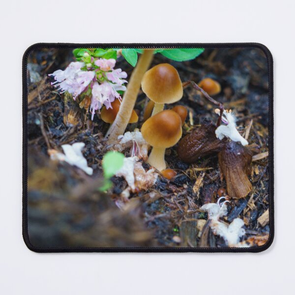 Item preview, Magical Forest Mushrooms macro designed and sold by TheScarletLens.