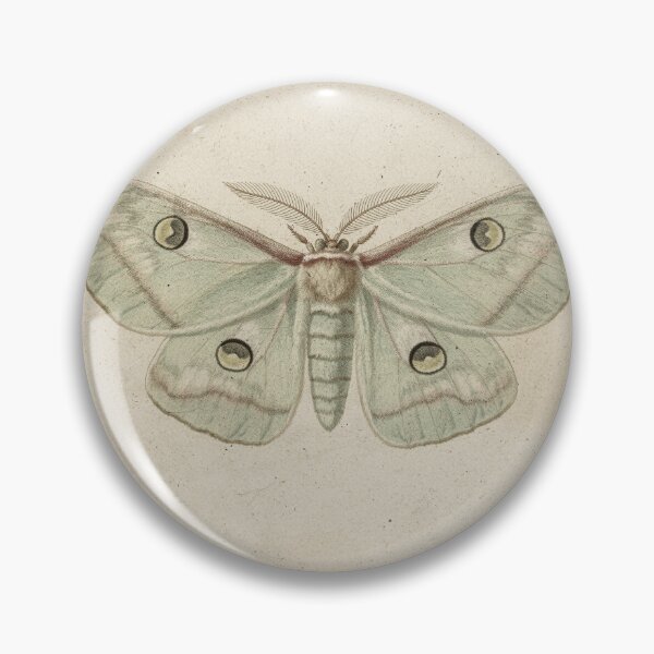 Item preview, Luna Moth Vintage Specimen Plate designed and sold by PictorialWhimsy.