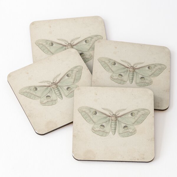 Item preview, Luna Moth Vintage Specimen Plate designed and sold by PictorialWhimsy.