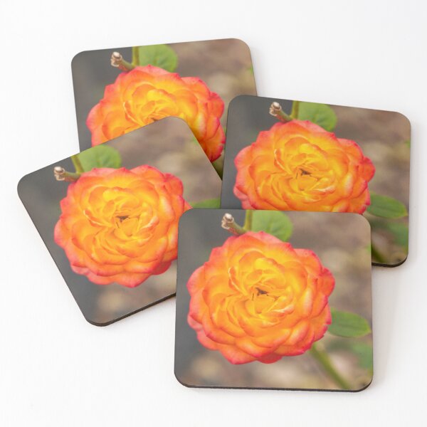 Item preview, Fiery Summer Blossom Close up designed and sold by TheScarletLens.