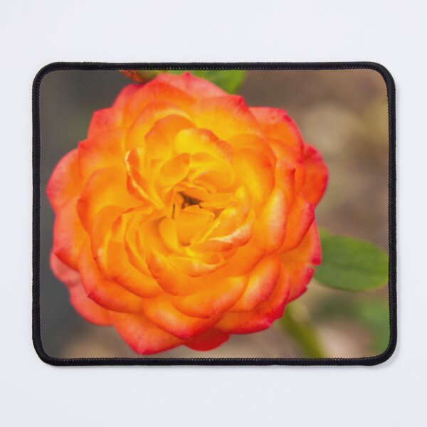 Item preview, Fiery Summer Blossom Close up designed and sold by TheScarletLens.