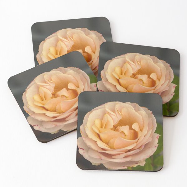 Item preview, Peach Apricot Rose Close up  designed and sold by TheScarletLens.