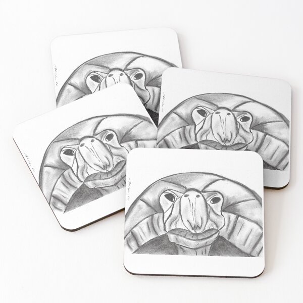 Item preview, Methusalem Tortoise, Charcoal designed and sold by Anke‘s Bazaar.
