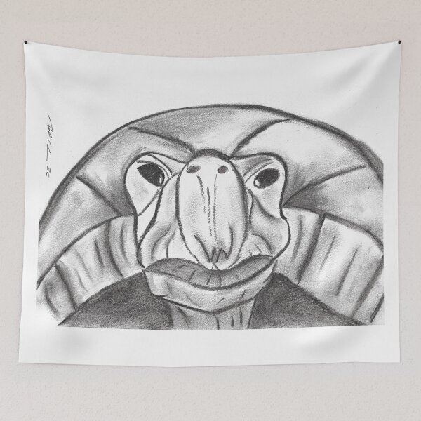 Item preview, Methusalem Tortoise, Charcoal designed and sold by Anke‘s Bazaar.