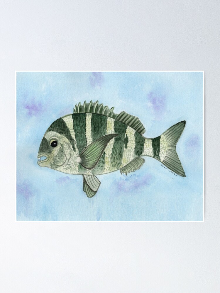 Florida Saltwater Fish Card Magnetic Card With Fish Species Guide