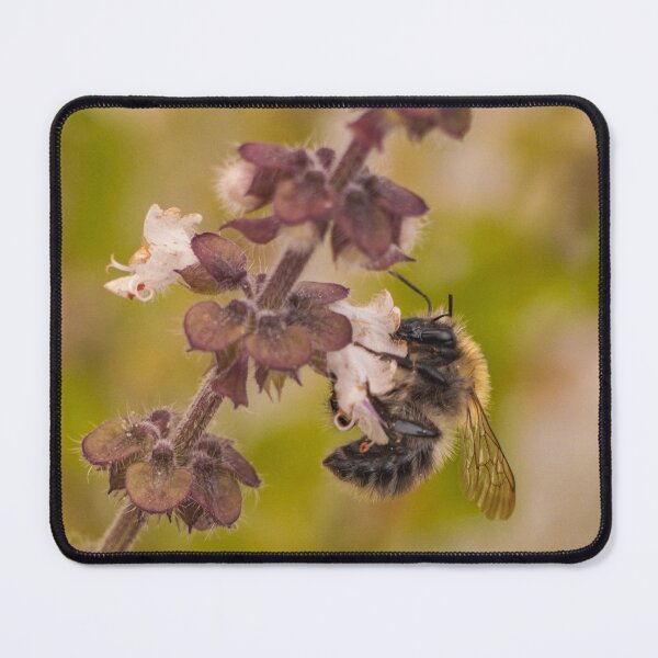 Item preview, Busy Bee in the Herb Garden designed and sold by TheScarletLens.