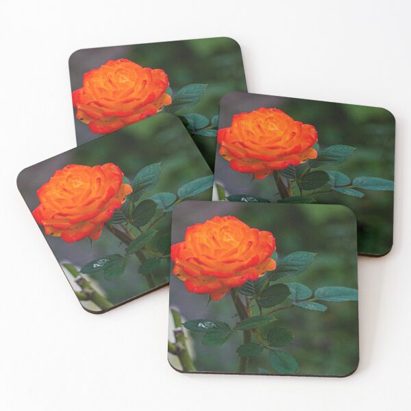 Item preview, Fiery Red Orange Rose macro designed and sold by TheScarletLens.