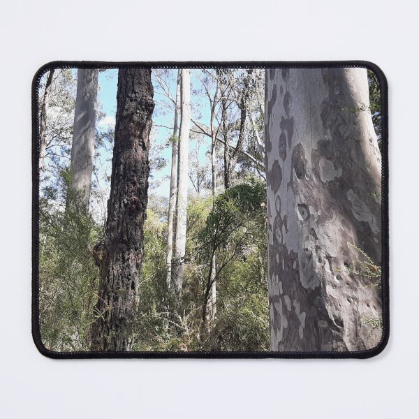 Item preview, Spotted Gum Ironbark Forest in the Sunshine designed and sold by Bellamaree.