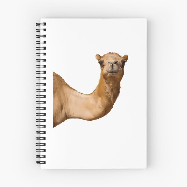 Item preview, What Are You Hump To designed and sold by ShopGoodWitches.