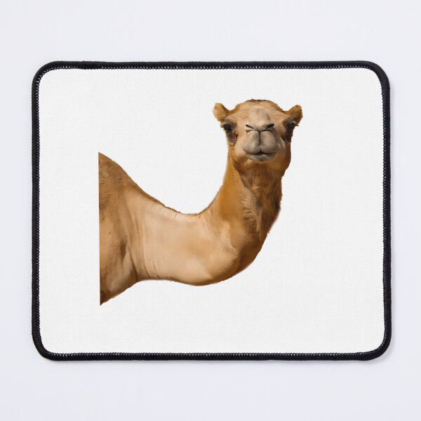 Item preview, What Are You Hump To designed and sold by ShopGoodWitches.