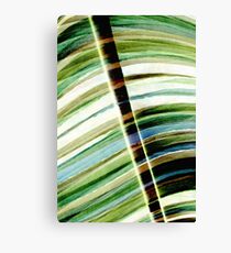 Leaf Canvas Print