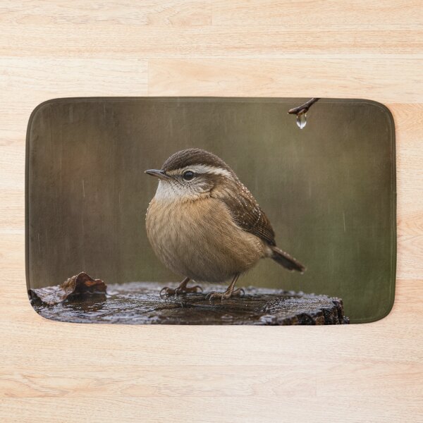 Item preview, Little Wren in Gentle Rain Photography Print designed and sold by BLUESKY11a.