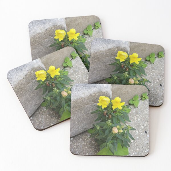 Item preview, Yellow Sidewalk Snapdragons designed and sold by concretebotany.