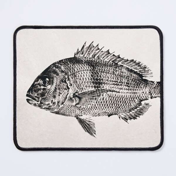 Item preview, Gyotaku Snapper Sea Bream Fish Print - Japanese Sumi-e Art I designed and sold by Yaremchuk.