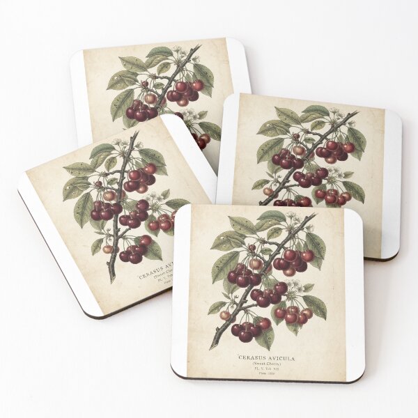 Item preview, Cherry in vintage style designed and sold by KRIDD-DESIGN.