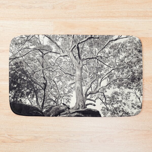 Item preview, Majestic Angophora costata reaching for the sky designed and sold by Bellamaree.