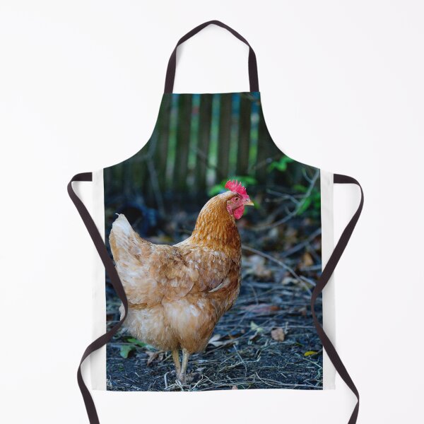 Item preview, Isa brown chicken free range designed and sold by Bellamaree.
