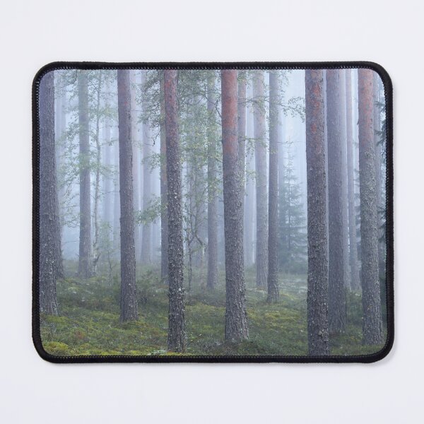 Item preview, 5.9.2026: Path In The Foggy Forest designed and sold by Petri Volanen.