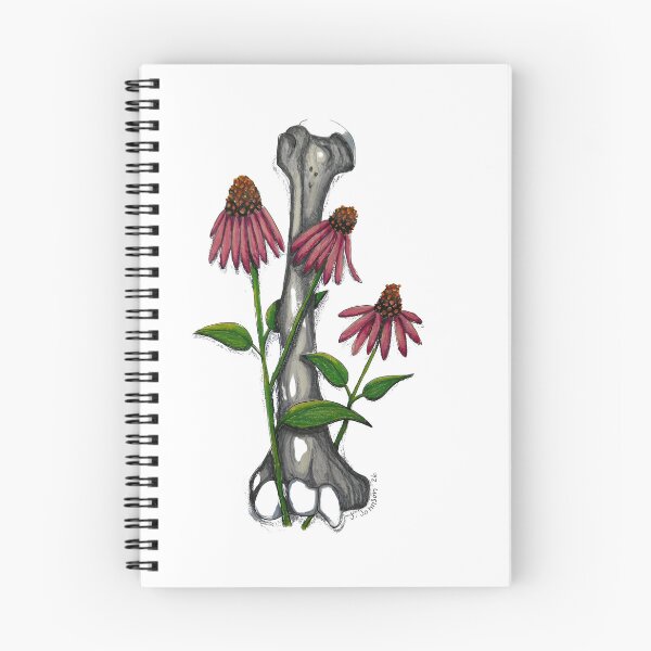 Item preview, cone flowers and a humerus designed and sold by JJPA-C.