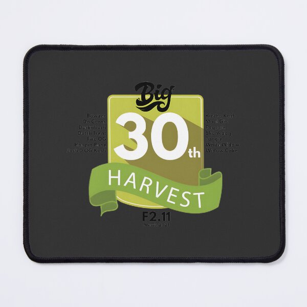 Item preview, Autumn Harvest Celebration Graphic | Best Gift designed and sold by Jenil225.