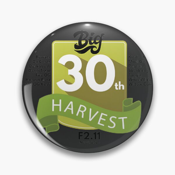 Item preview, Autumn Harvest Celebration Graphic | Best Gift designed and sold by Jenil225.