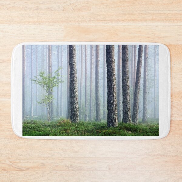 Item preview, 5.9.2026: Birch In The Pine Tree Forest designed and sold by Petri Volanen.