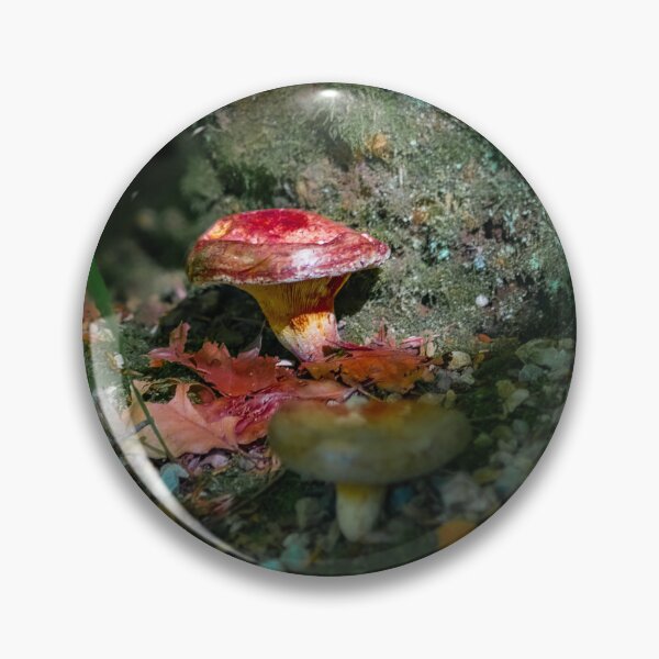 Item preview, Toadstools in Mossy Forest designed and sold by Twisted Light Images.