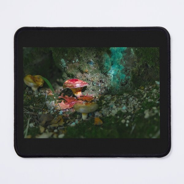 Item preview, Toadstools in Mossy Forest designed and sold by Twisted Light Images.