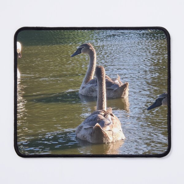 Item preview, Swans designed and sold by Emi7019.