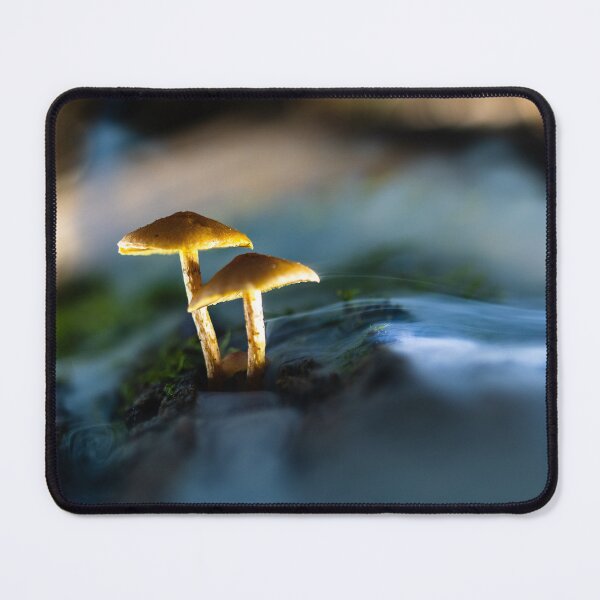 Item preview, Twin Toadstools in the Woodland Mist designed and sold by Twisted Light Images.