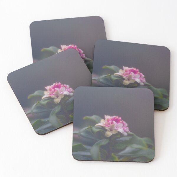 Item preview, Flower in Moody Light designed and sold by Twisted Light Images.