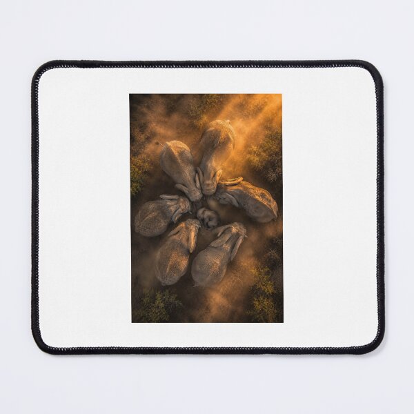 Item preview, Elephant herd protects baby in golden sunlight designed and sold by Fotografin1981.