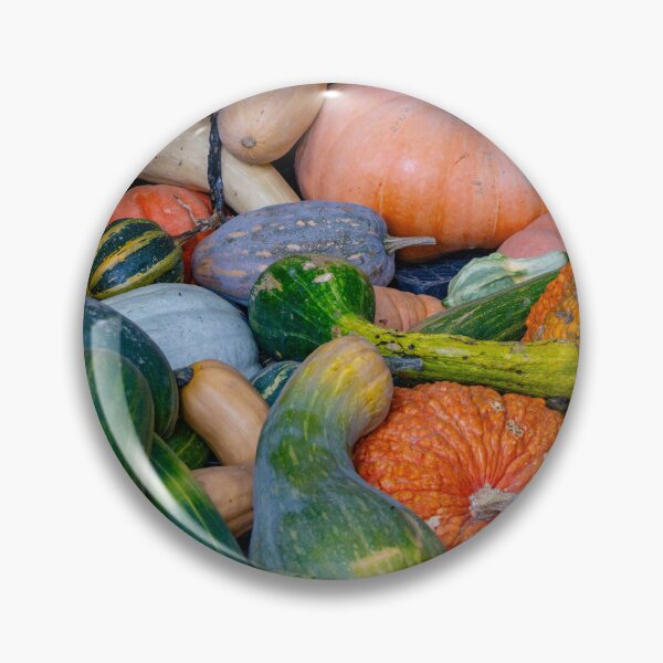 Item preview, Pumpkin Harvest Abundance designed and sold by Twisted Light Images.