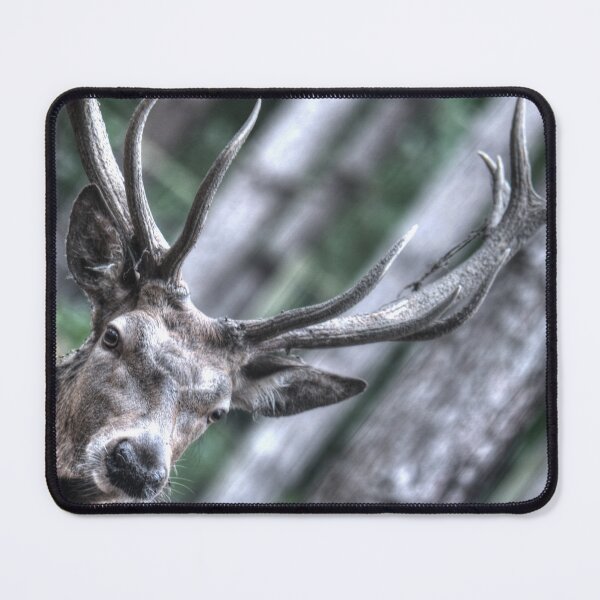 Item preview, Stag in Woodland designed and sold by SusiSu72.