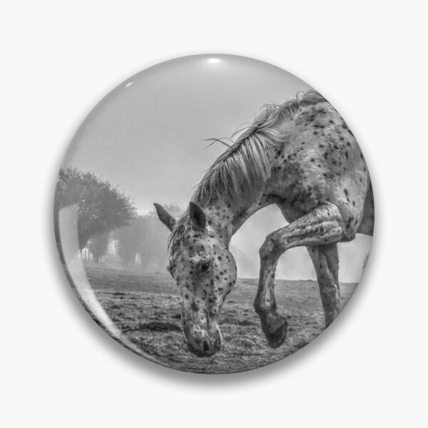 Item preview, Appaloosa in the Fog (1) designed and sold by SusiSu72.