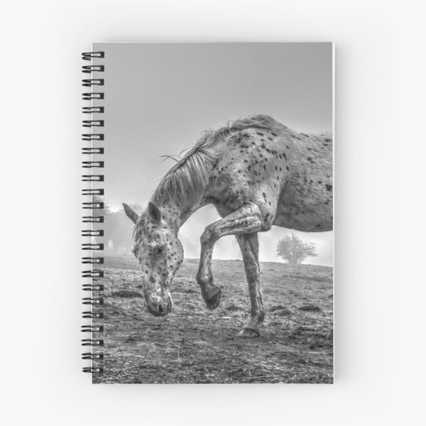 Item preview, Appaloosa in the Fog (1) designed and sold by SusiSu72.