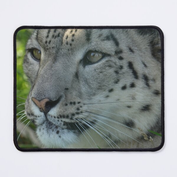 Item preview, Snow Leopard designed and sold by SusiSu72.
