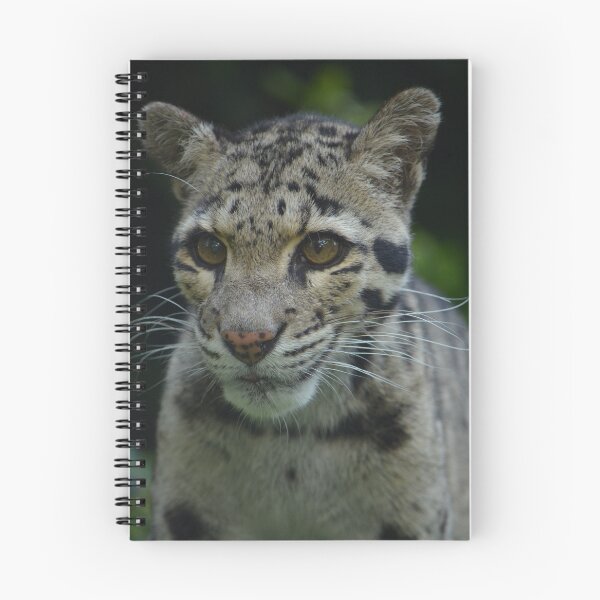 Item preview, Clouded Leopard designed and sold by SusiSu72.