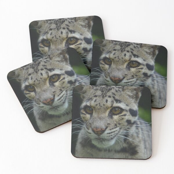 Item preview, Clouded Leopard designed and sold by SusiSu72.