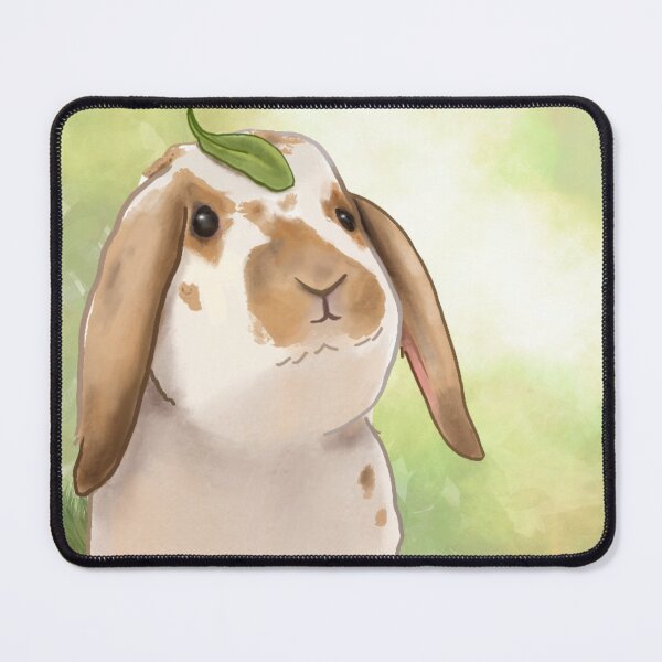 Item preview, Apli’kmuj | Mi'kmaq word for Rabbit!  designed and sold by B00FAY.